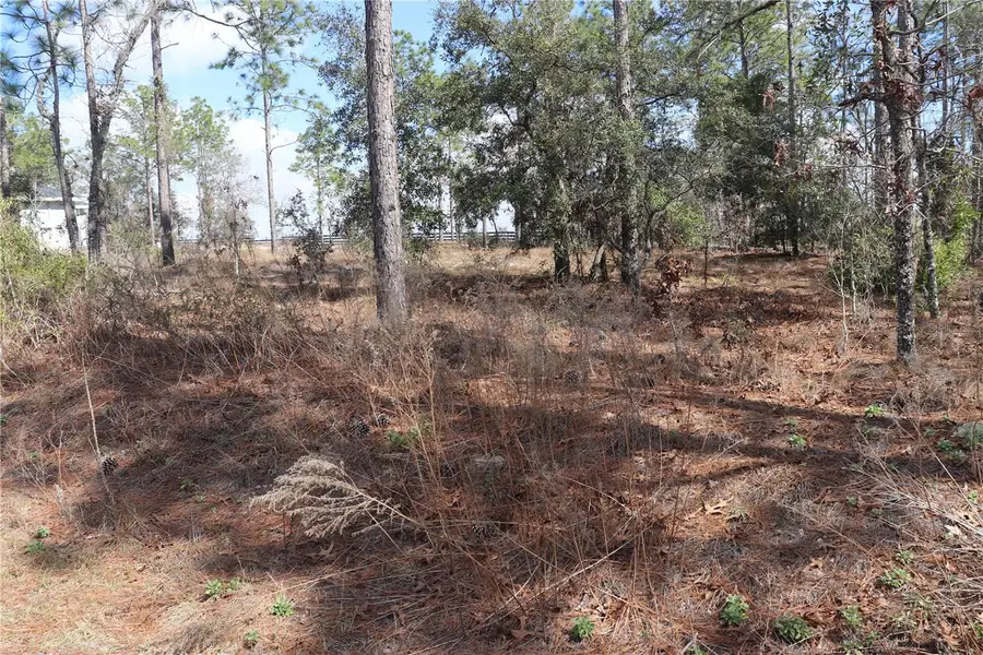 2251 NW Buena Vista Road, Dunnellon, FL 34431 - #3