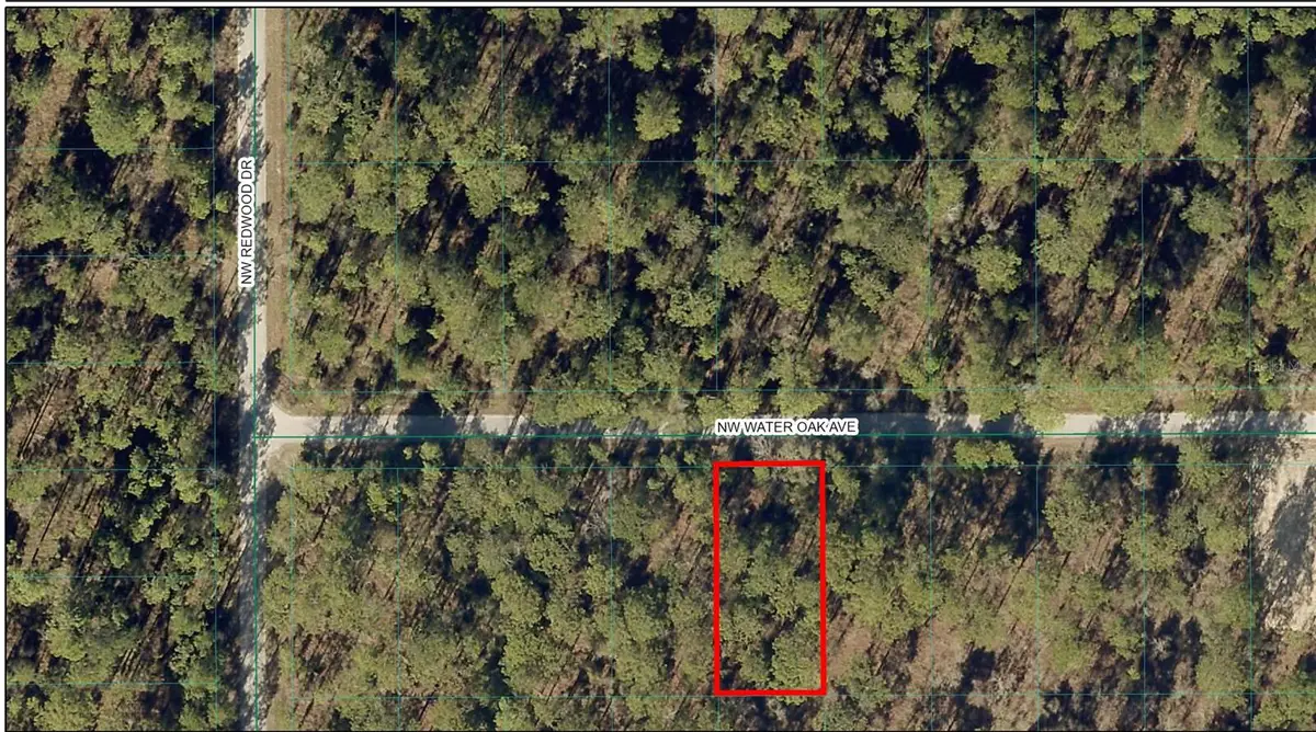 TBD NW Water Oak Avenue, Dunnellon, FL 34431 - #1