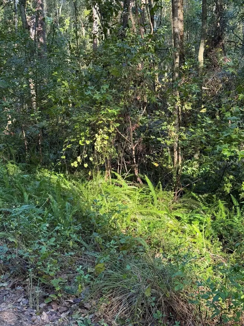 TBD SW 18th Place, Ocala, FL 34481 - #1