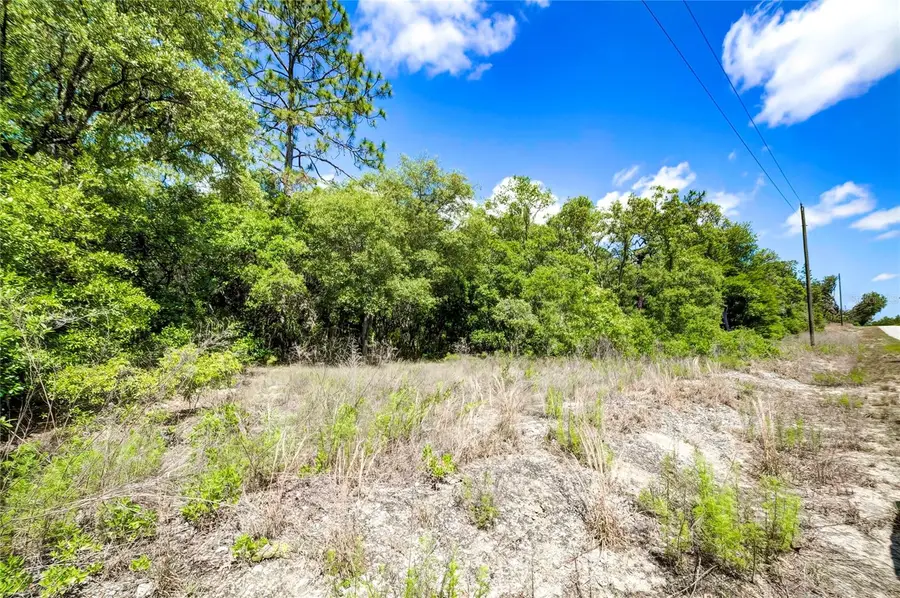 TBD SW Pineapple Hill Drive, Dunnellon, FL 34431 - #3