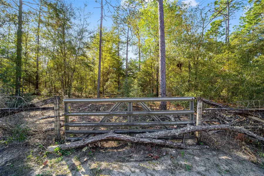 TBD SW 36th Street, Ocala, FL 34481 - Image #3