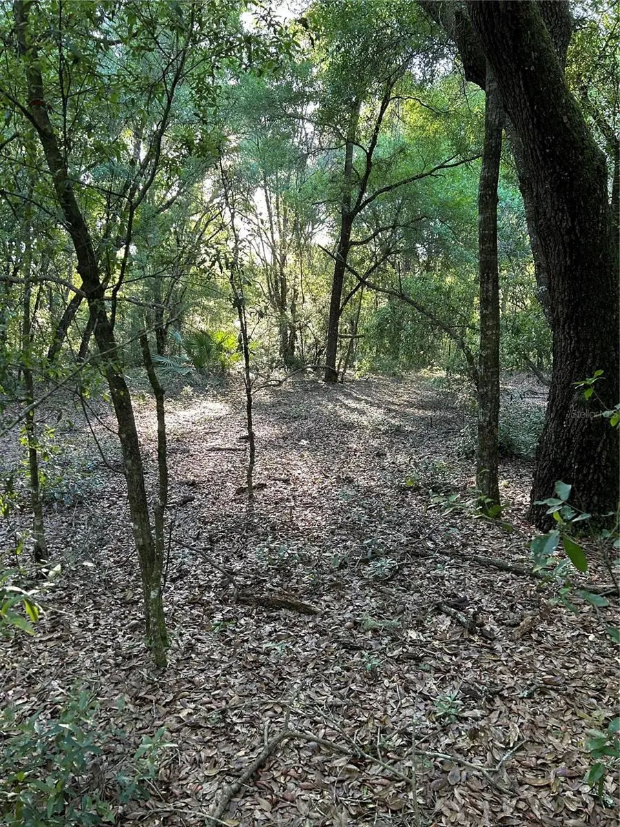 Sw Hwy 484, Dunnellon, FL 34432 - #1