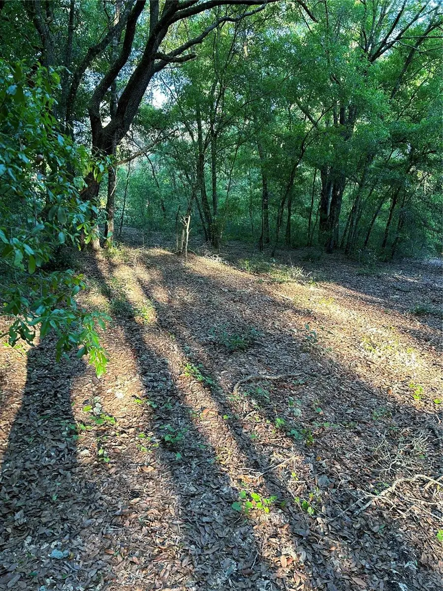 Sw Hwy 484, Dunnellon, FL 34432 - #2