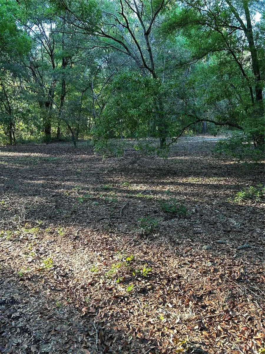 Sw Hwy 484, Dunnellon, FL 34432 - #3