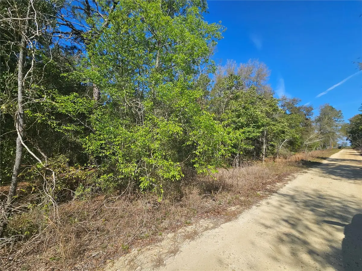 1790 NE 156th Terrace, Williston, FL 32696 - Image #1