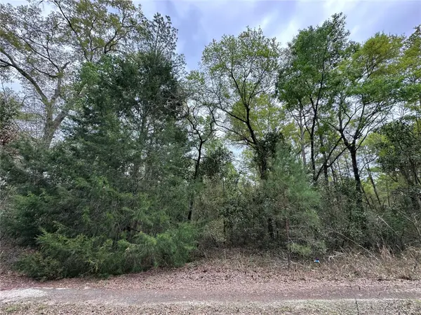 tbd NE 154th Avenue, WILLISTON, FL 32696