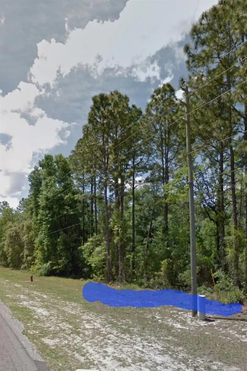 Marion Oaks, Ocala, FL 34473 - Image #2