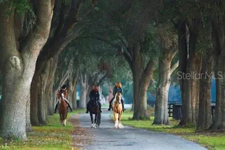 0 SE 116th Place Road, Ocala, FL 34480 - Image #3