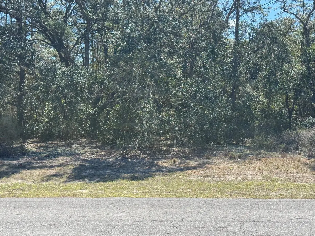 Lot 6 SW 146th Lane Road, Ocala, FL 34473 - Image #1