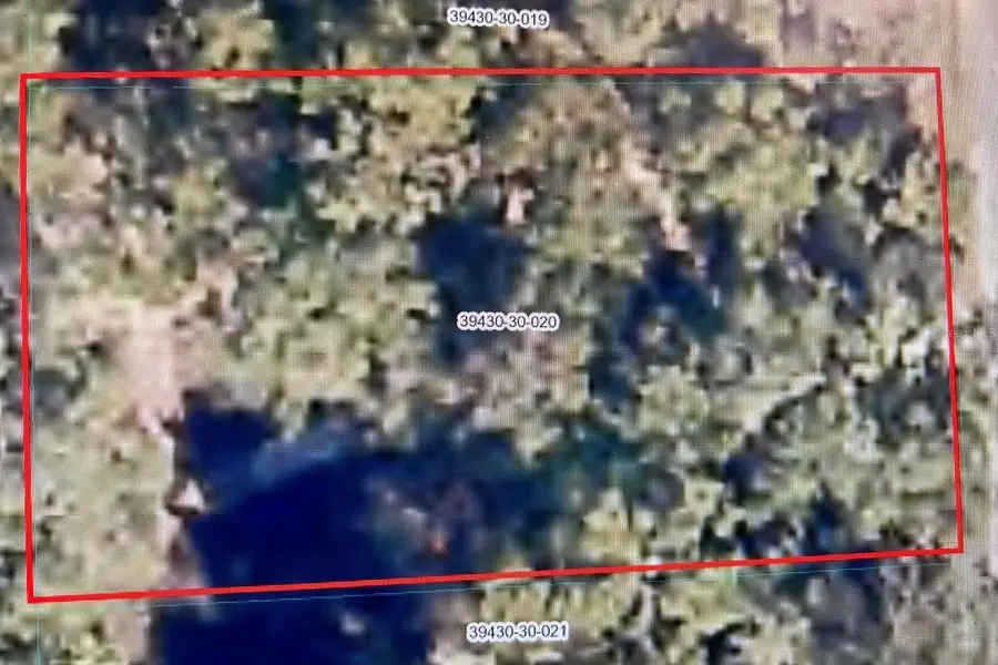 0 SE 168 Avenue, Ocklawaha, FL 32179 - #2