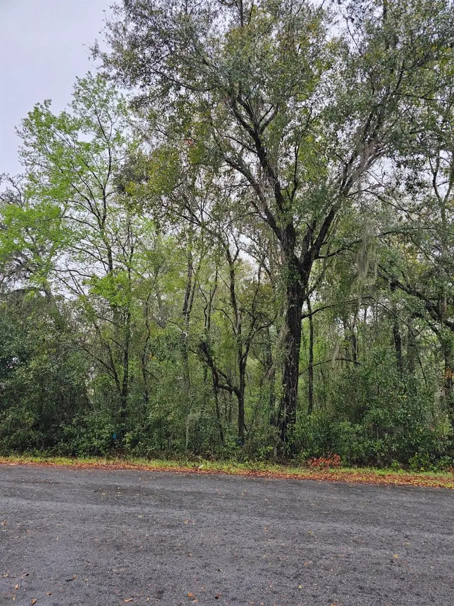 TBD Hemlock Course, Ocala, FL 34472 - Image #3