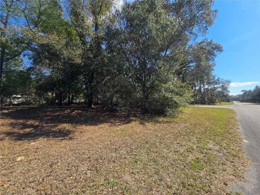 8467 N Empire Avenue, Citrus Springs, FL 34433 - Image #3