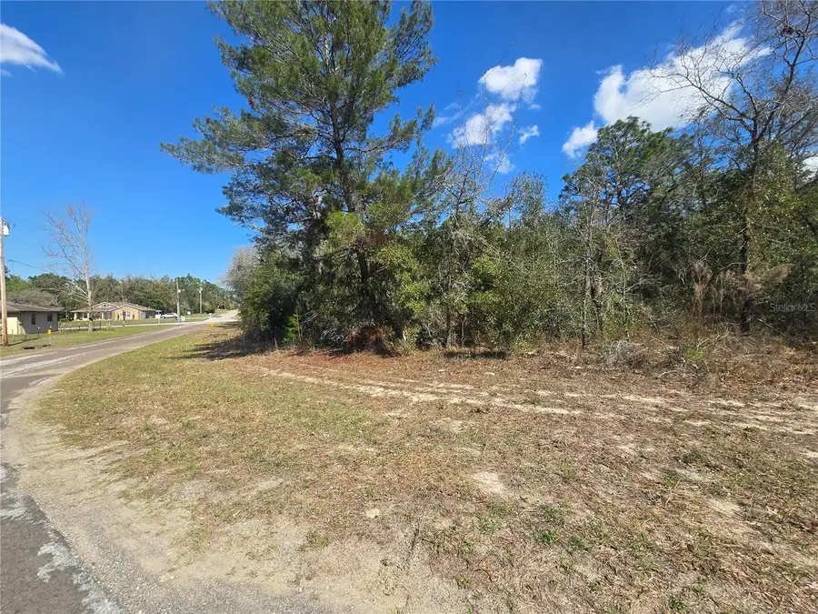 8365 N Ibsen Drive, Citrus Springs, FL 34433 - Image #2