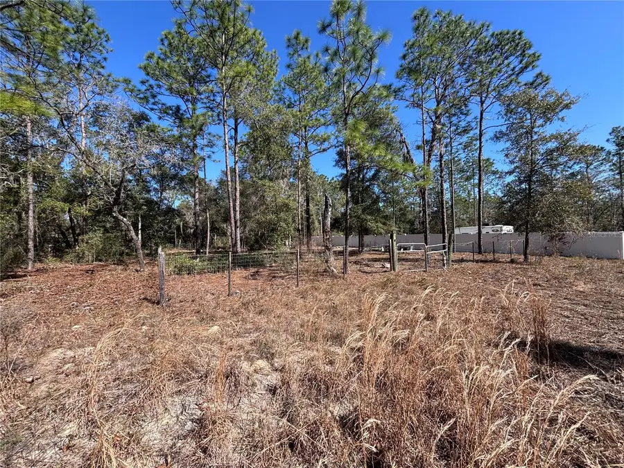 NE 3rd Place, Williston, FL 32696 - Image #2