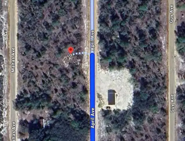 00 April Avenue, Interlachen, FL 32148 - #2