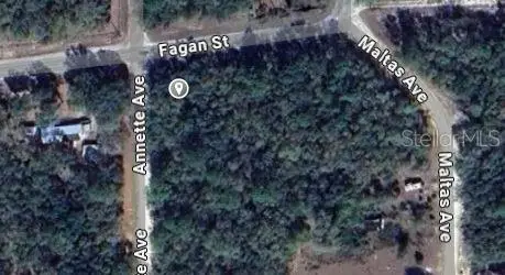 00 Annette Avenue, Interlachen, FL 32148 - #2