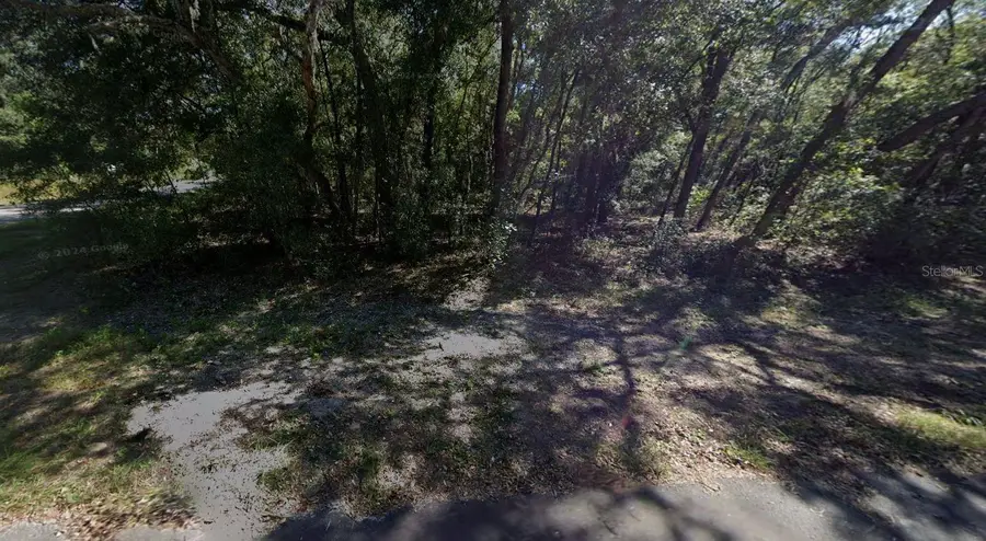 00 Annette Avenue, Interlachen, FL 32148 - #3