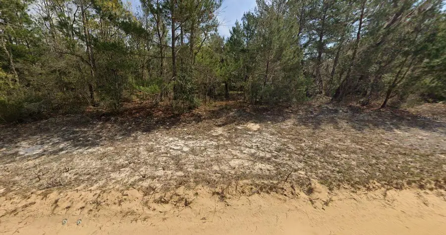 O Farrel Avenue, Interlachen, FL 32148 - #3