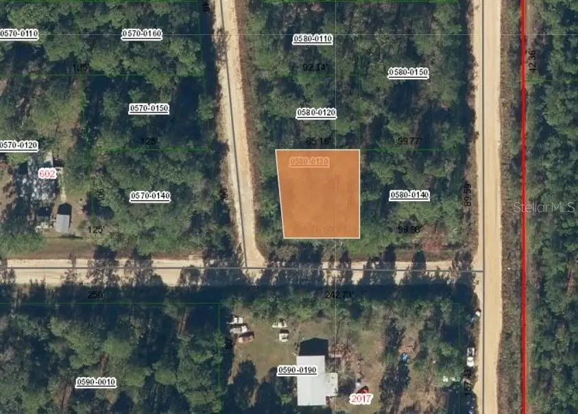 Lot 13 Selma Avenue, Interlachen, FL 32148 - #1