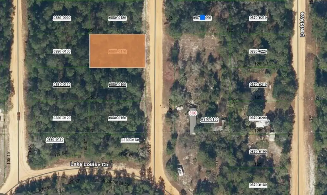 Lot 17 Theresa Avenue, Interlachen, FL 32148 - #1
