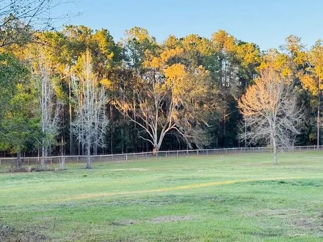 18601 NW 160th Avenue, Williston, FL 32696 - Image #3