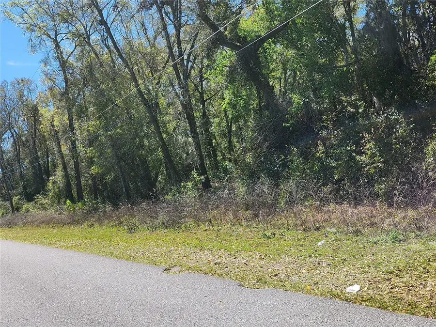 2155 E Citrus Springs Boulevard, Citrus Springs, FL 34434 - Image #2