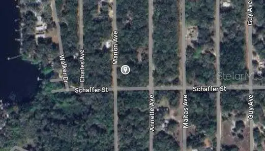 Marion Avenue, Interlachen, FL 32148 - #3