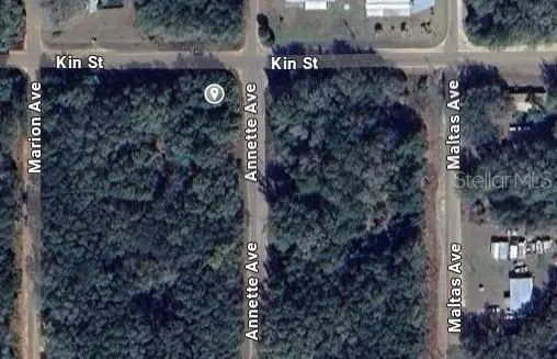 Annette Avenue, Interlachen, FL 32148 - #2