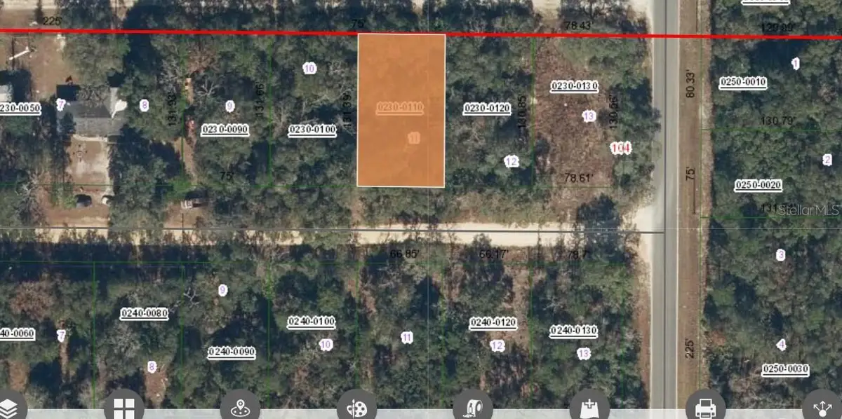 00 Saddle Trail, Interlachen, FL 32148 - #1