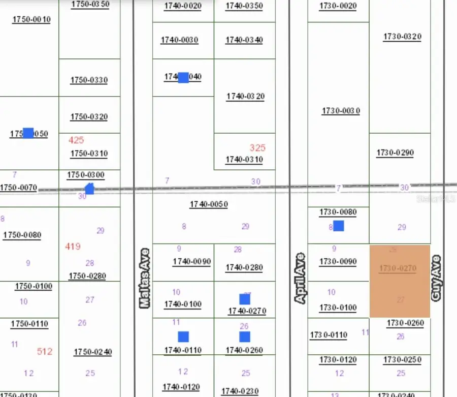 00 Guy Avenue, Interlachen, FL 32148 - #2