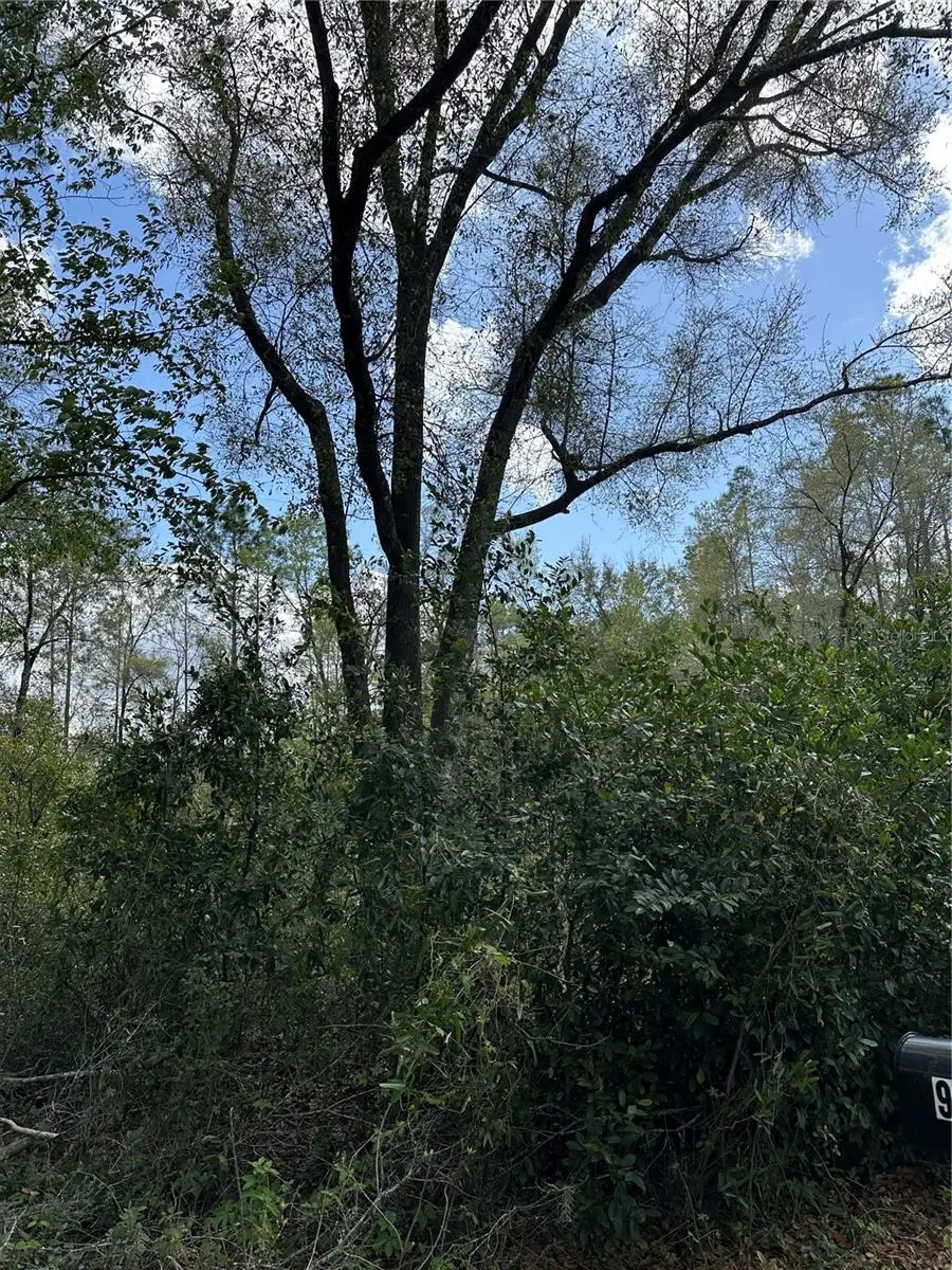 00 SW 193 Circle, Dunnellon, FL 34432 - #2