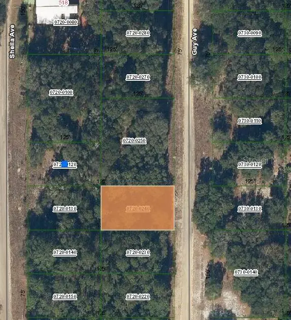 Guy Avenue, Interlachen, FL 32148 - #1