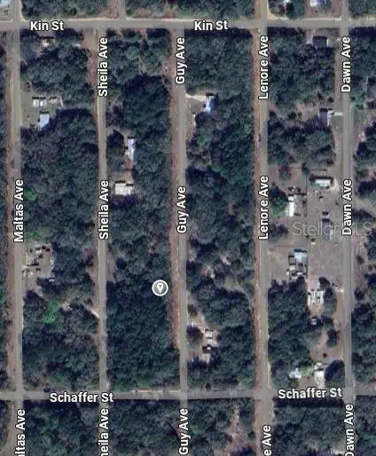 Guy Avenue, Interlachen, FL 32148 - #2