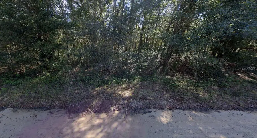 Lloyd Drive, Interlachen, FL 32148 - #3