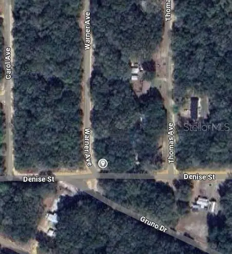 00 Denise Street, Interlachen, FL 32148 - #2