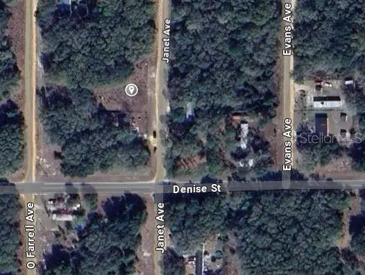 905 Janet Avenue, Interlachen, FL 32148 - #2