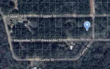 Alexander Street, Interlachen, FL 32148 - #1