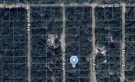 Joel Avenue, Interlachen, FL 32148 - #1