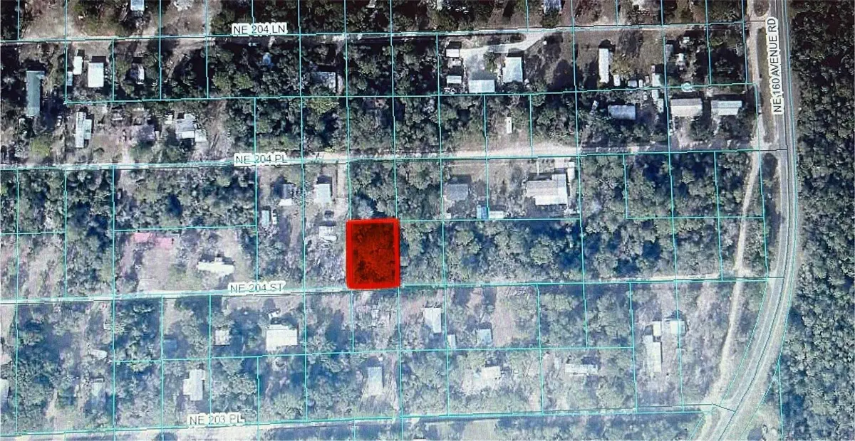 TBD NE Ne 204th Street, Fort McCoy, FL 32134 - Image #1