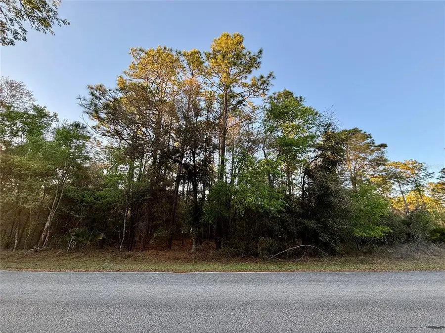 Lot 33 SW 97 Place, Dunnellon, FL 34431 - Image #3