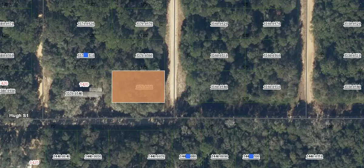 00 Donys Avenue, Interlachen, FL 32148 - #1