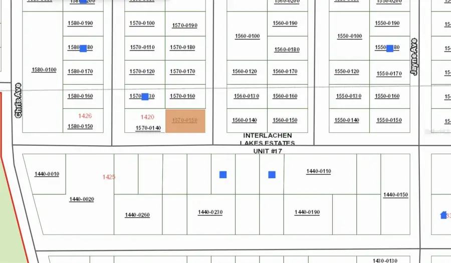 00 Donys Avenue, Interlachen, FL 32148 - #2