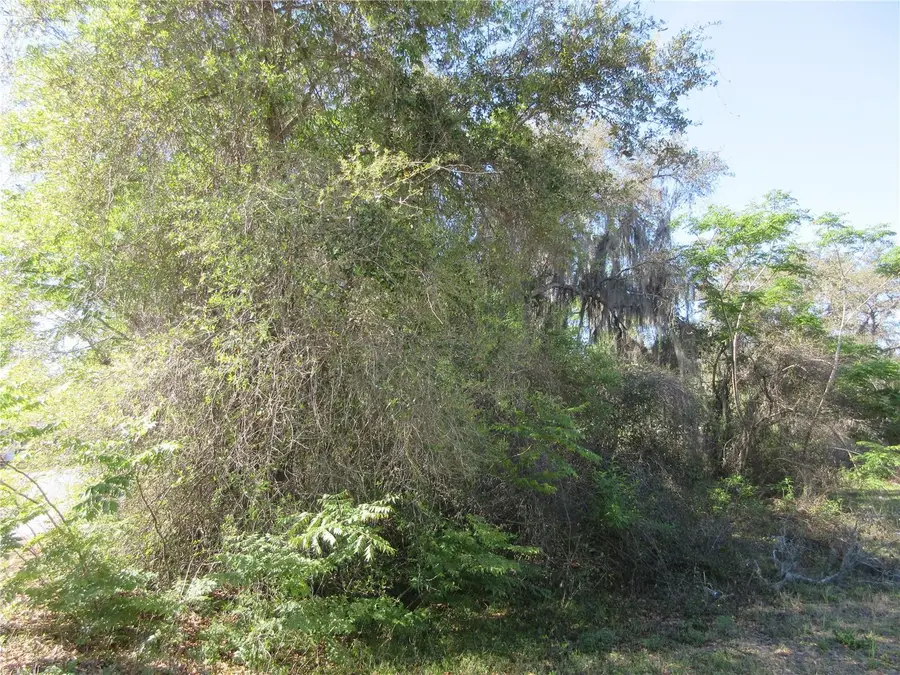 0 SE 188th Avenue, Silver Springs, FL 34488 - Image #3