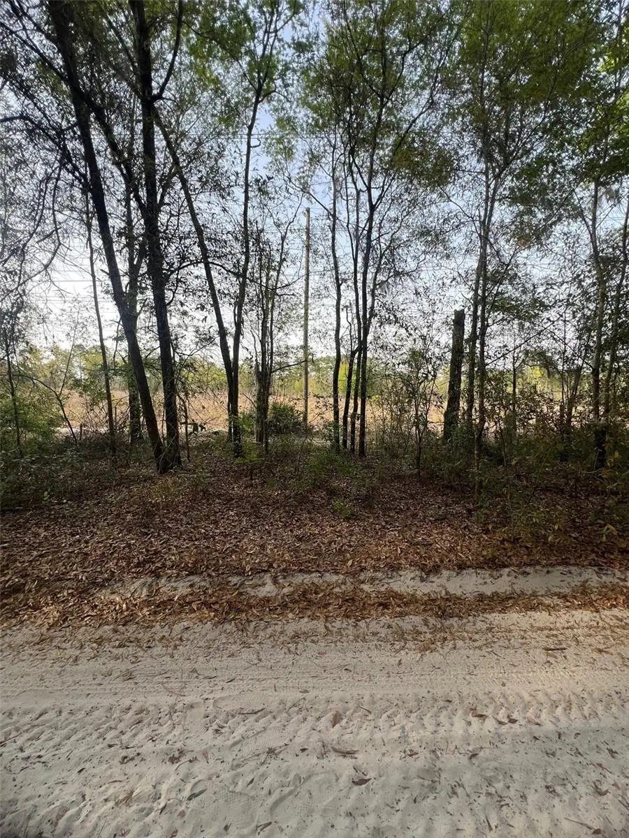 TBD SW 150 Street, Dunnellon, FL 34432 - #3