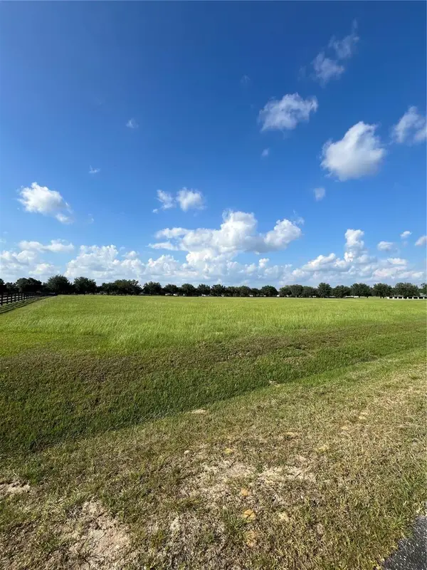 TBD 54 Loop, OCALA, FL 34482