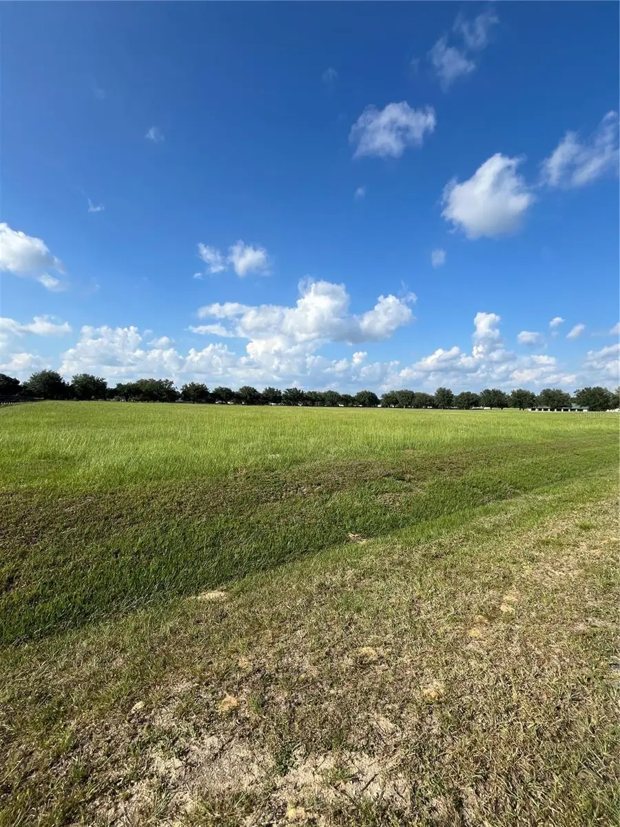 TBD 54 Loop, Ocala, FL 34482 - Image #3