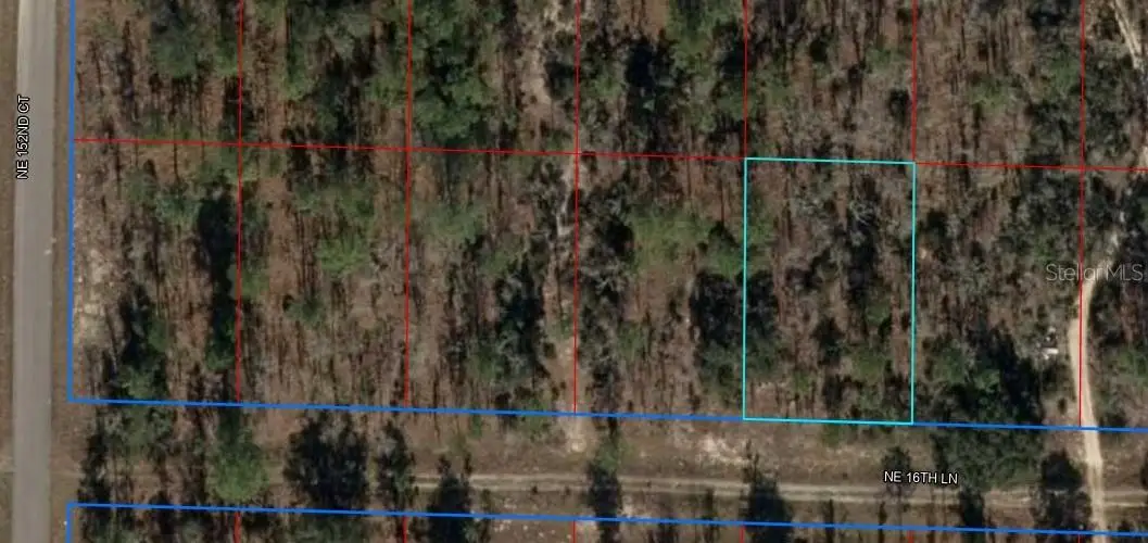 TBD NE 16th Lane, Williston, FL 32696 - Image #1