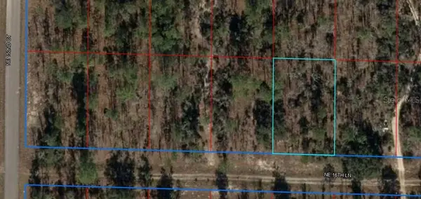 TBD NE 16th Lane, WILLISTON, FL 32696