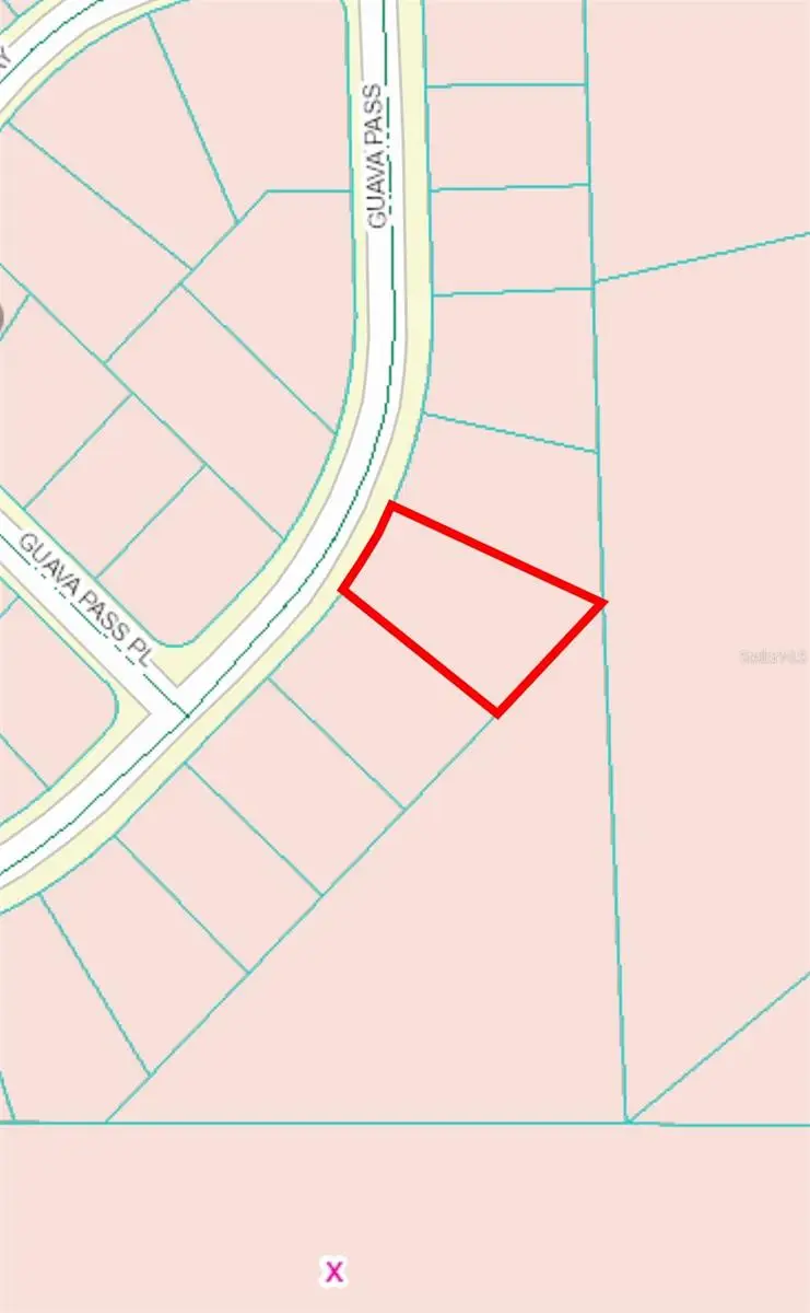 164 Guava Pass, Ocklawaha, FL 32179 - Image #3