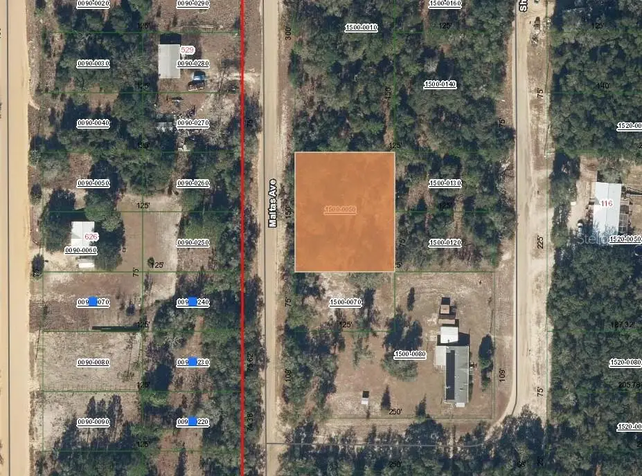 00 Maltas Avenue, Interlachen, FL 32148 - #1
